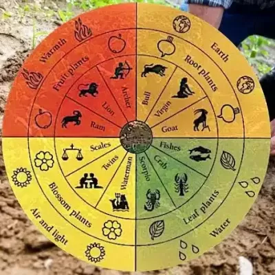 Vinhos Biodinâmicos: Entre a Terra e o Céu Vinhos Biodinâmicos: Entre a Terra e o Céu
