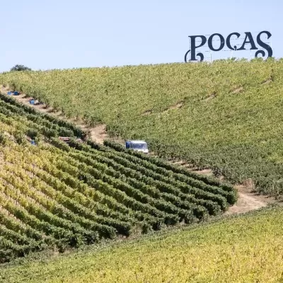 Poças