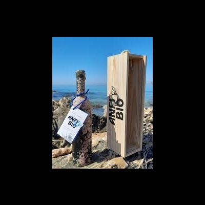 Anfíbio - Quinta da Casa Boa 75cl