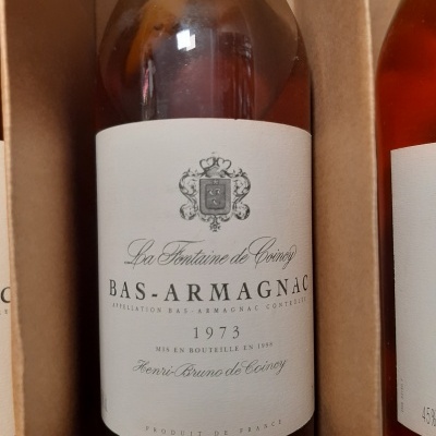 https://www.garrafeiracampodeourique.pt/product/bas-armagnac-la-fontaine-de-coincy-70cl