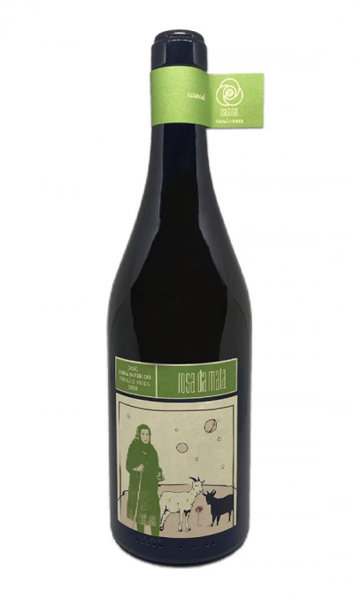 Rosa da Mata Fernão Pires 2019