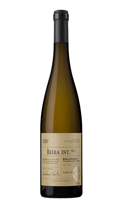 Anselmo Mendes B.I. 2017