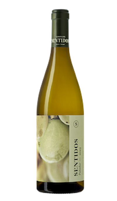 Paladar Branco, Blanc de Noir, 2023