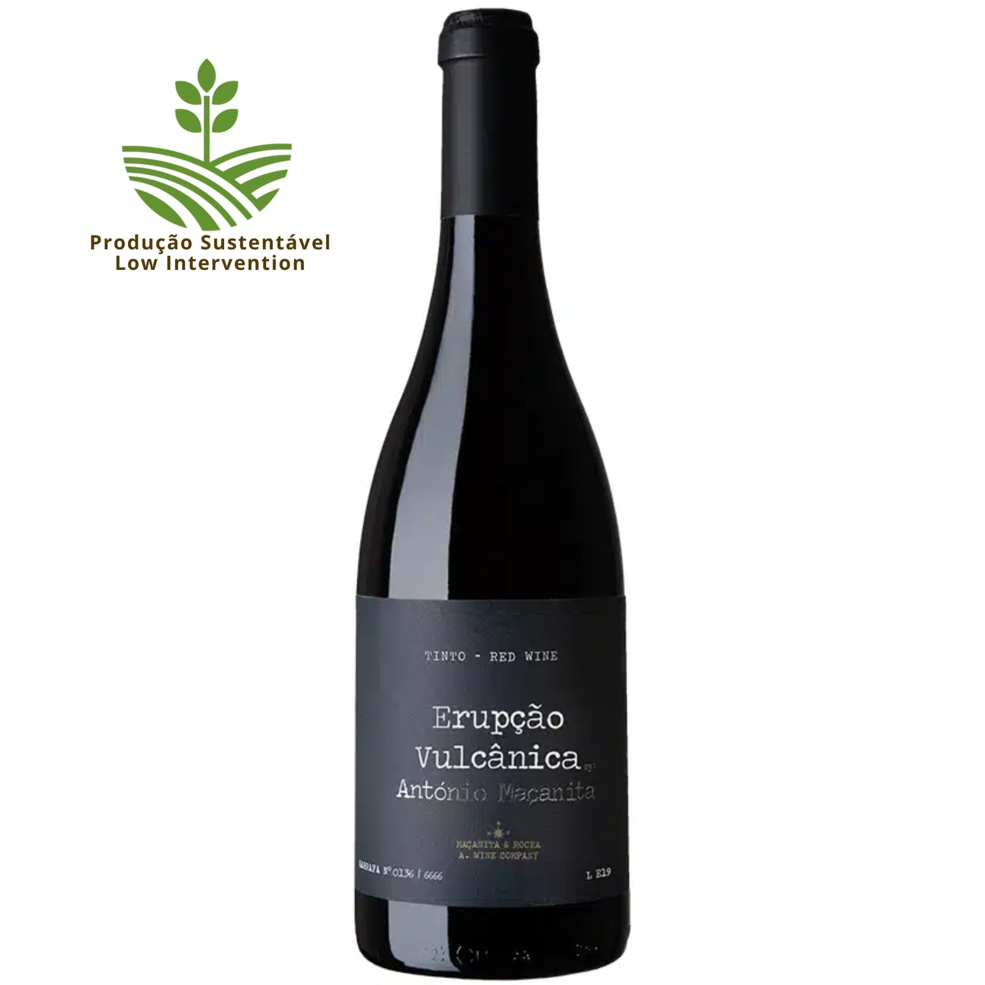 Erupção Vulcânica NV by Antonio Maçanita Erupção Vulcânica NV by Antonio Maçanita