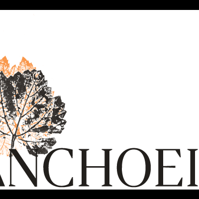 Quinta da Tanchoeira