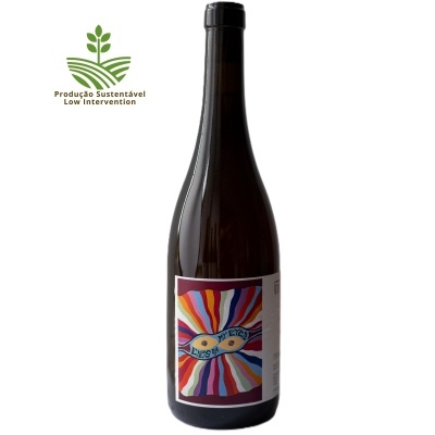 Cristóvão Branco 2023