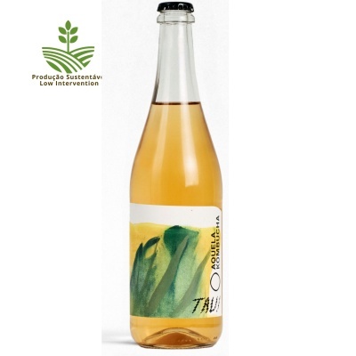Kombucha Vínica Alvarinho 2025