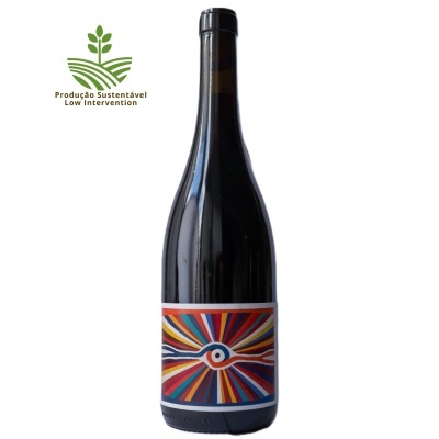 Cristóvão Tinto 2023