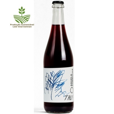 Kombucha Vínica Vinhão 2025