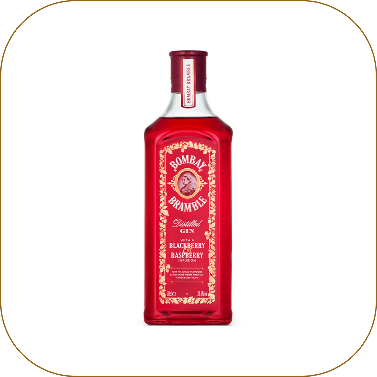 Bombay Bramble Bombay Bramble