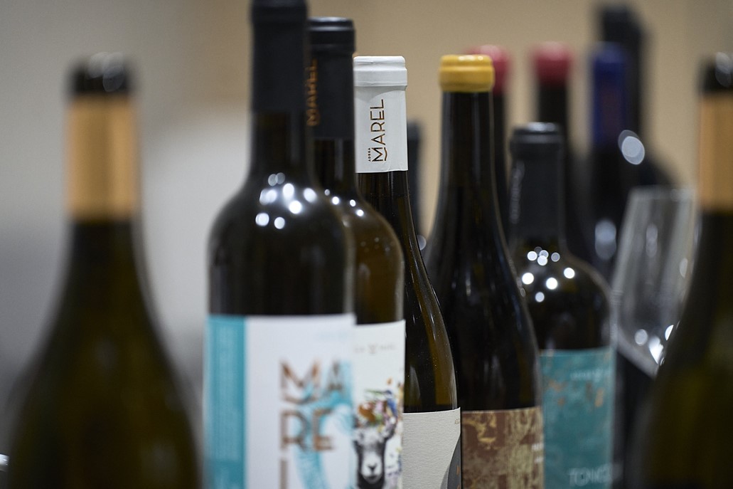Tiago Macena - Master of Wine Tiago Macena - Master of Wine