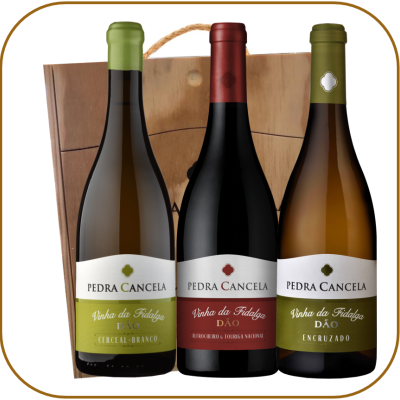 Colecção Pedra Cancela Vinha da Fidalga