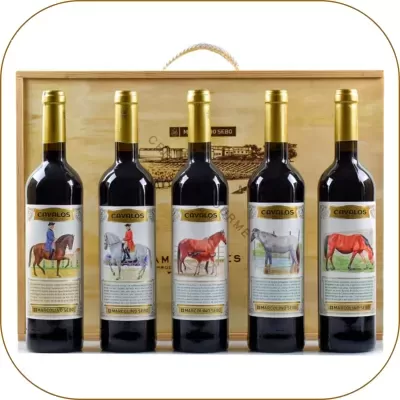 Coleção Cavalos Portuguses