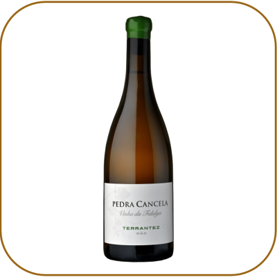 Pedra Cancela Vinha da Fidalga Terrantez