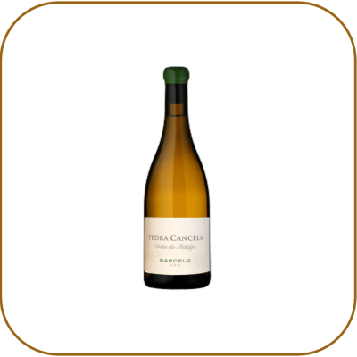 Pedra Cancela Vinha da Fidalga Barcelo