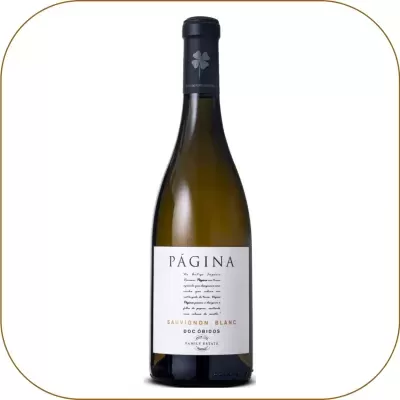 Página Sauvignon Blanc