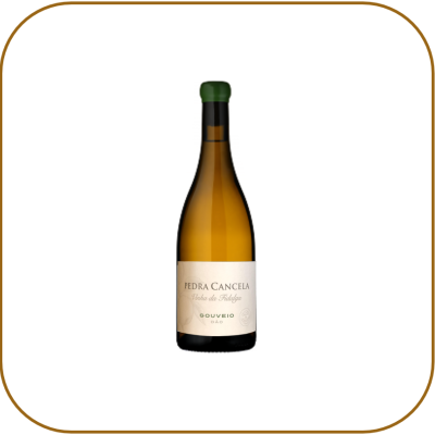 Pedra Cancela Vinha da Fidalga Gouveio