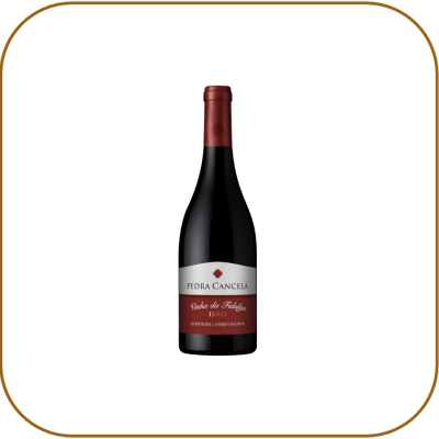 Pedra Cancela Vinha da Fidalga Alfrocheiro e Touriga Nacional