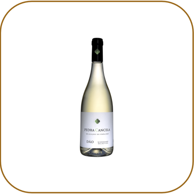 Pedra Cancela Selecção do Enólogo Branco - 0,37 Lt