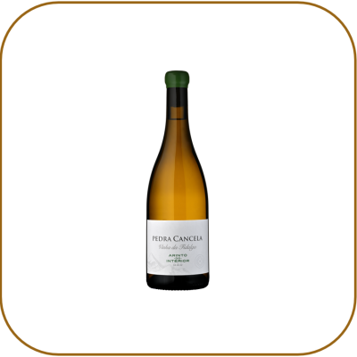 Pedra Cancela Vinha da Fidalga Arinto do Interior