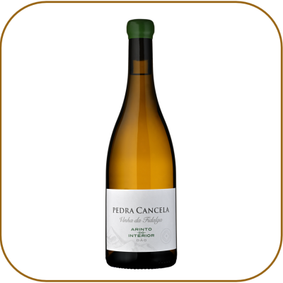 Pedra Cancela Vinha da Fidalga Arinto do Interior