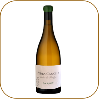 Pedra Cancela Vinha da Fidalga Luzidio