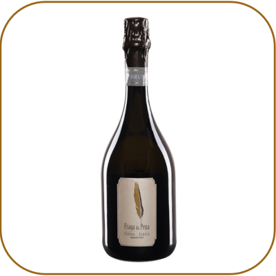 Terras do Demo Fraga da Pena Bruto