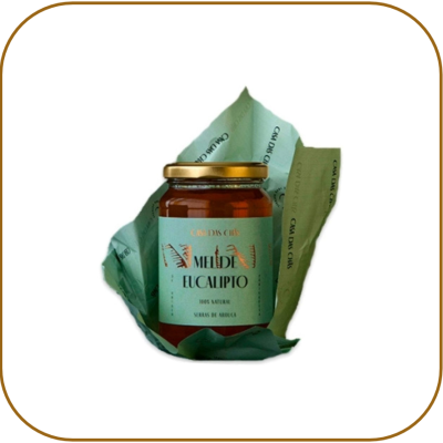 Mel Casa das Chãs - Eucalipto