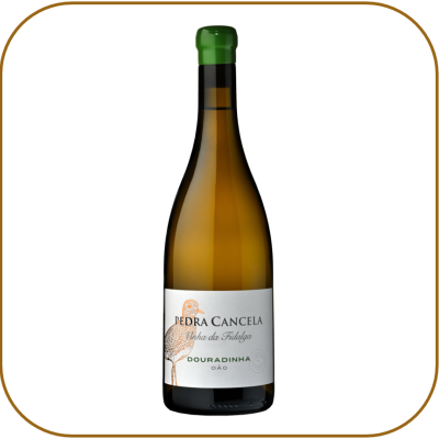 Pedra Cancela Vinha da Fidalga Douradinha