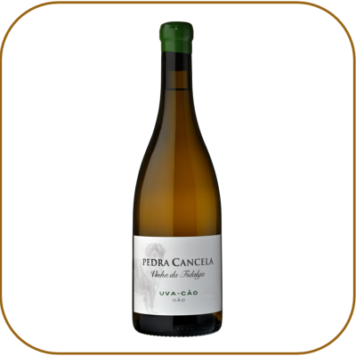 Pedra Cancela Vinha da Fidalga Uva-Cão