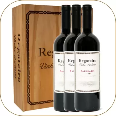 Regateiro Vinha d'Anita Tinto