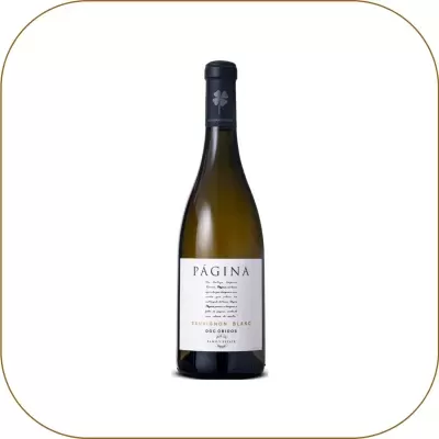 Página Sauvignon Blanc