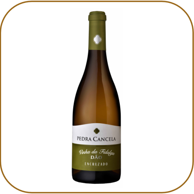 Colecção Pedra Cancela Vinha da Fidalga