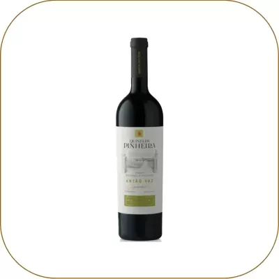 Quinta da Pinheira Antão Vaz Superior
