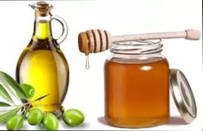 Alimentar