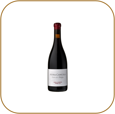 Pedra Cancela Vinha da Fidalga Malvasia Preta