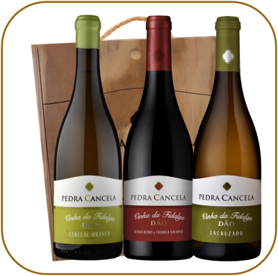 Colecção Pedra Cancela Vinha da Fidalga