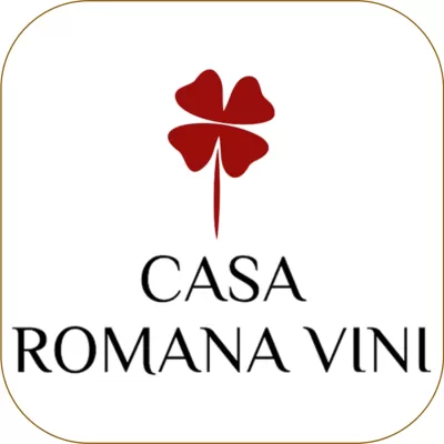 Casa Romana VIni