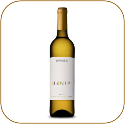 Guadalupe Winemaker's Selection Branco