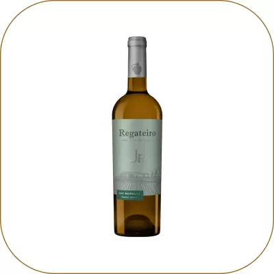 Regateiro Jr Branco