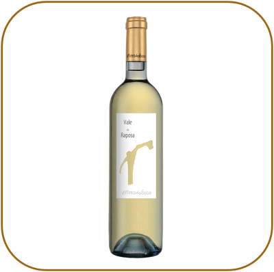 Vale da Raposa Branco