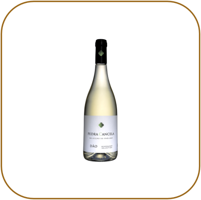 Pedra Cancela Selecção do Enólogo Branco