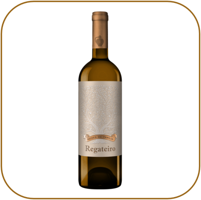 Regateiro Raízes de Família Branco