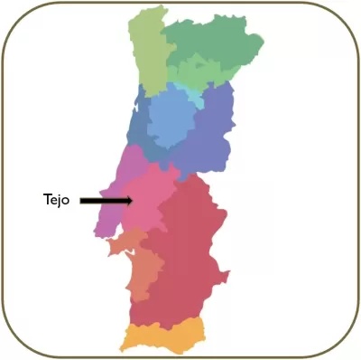 Tejo