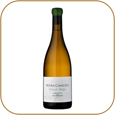 Pedra Cancela Vinha da Fidalga Arinto do Interior