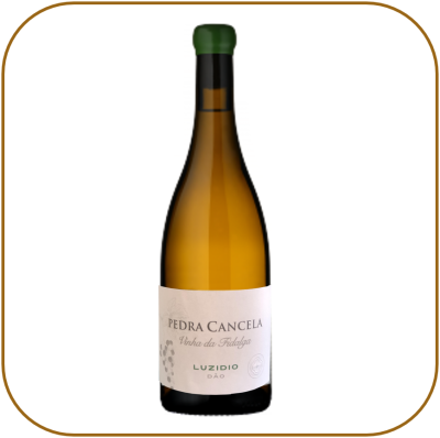 Pedra Cancela Vinha da Fidalga Luzidio