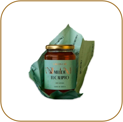 Mel Casa das Chãs - Eucalipto