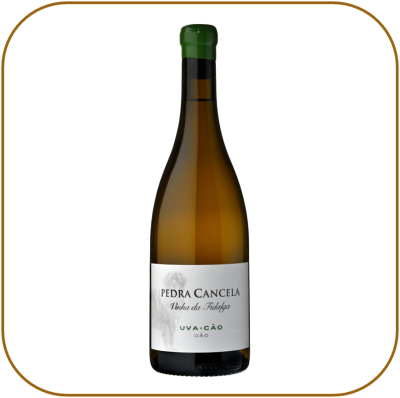 Pedra Cancela Vinha da Fidalga Uva-Cão