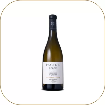 Página Sauvignon Blanc
