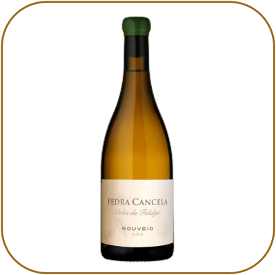 Pedra Cancela Vinha da Fidalga Gouveio